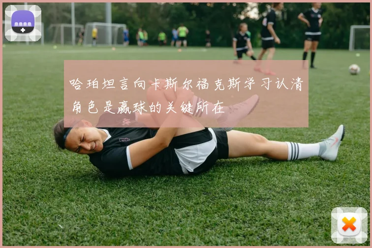 哈珀坦言向卡斯尔福克斯学习认清角色是赢球的关键所在